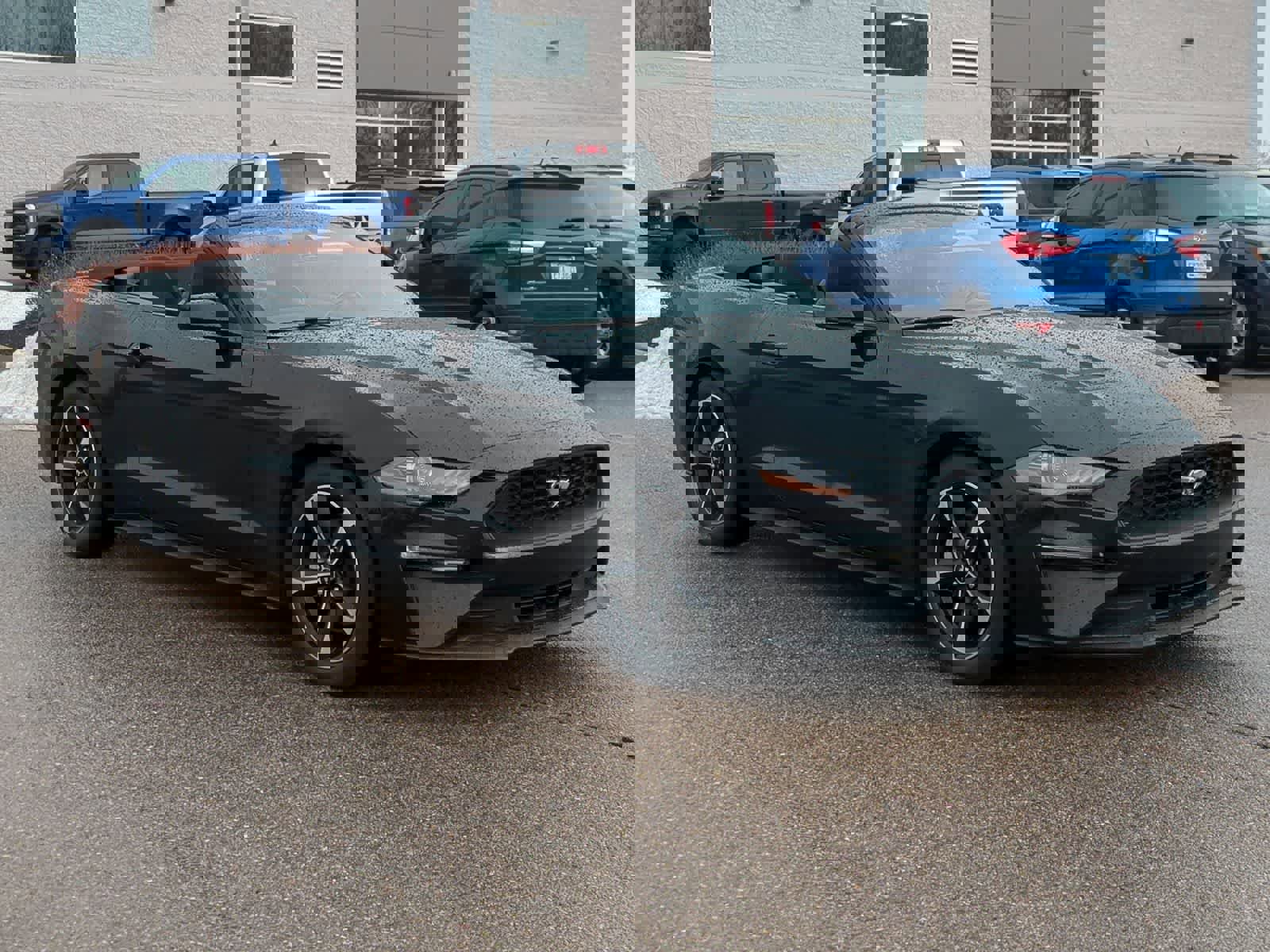 Used 2018 Ford Mustang EcoBoost w/ Equipment Group 101A image 2