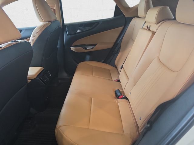Certified 2024 Lexus NX 350 AWD w/ Cold Area Package image 14