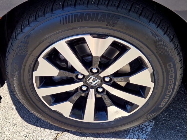 Certified 2025 Honda Odyssey EX-L image 13