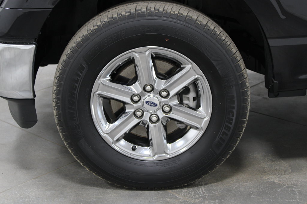 Used 2025 Ford F150 XLT w/ Equipment Group 301A Standard AWD/4WD image 19