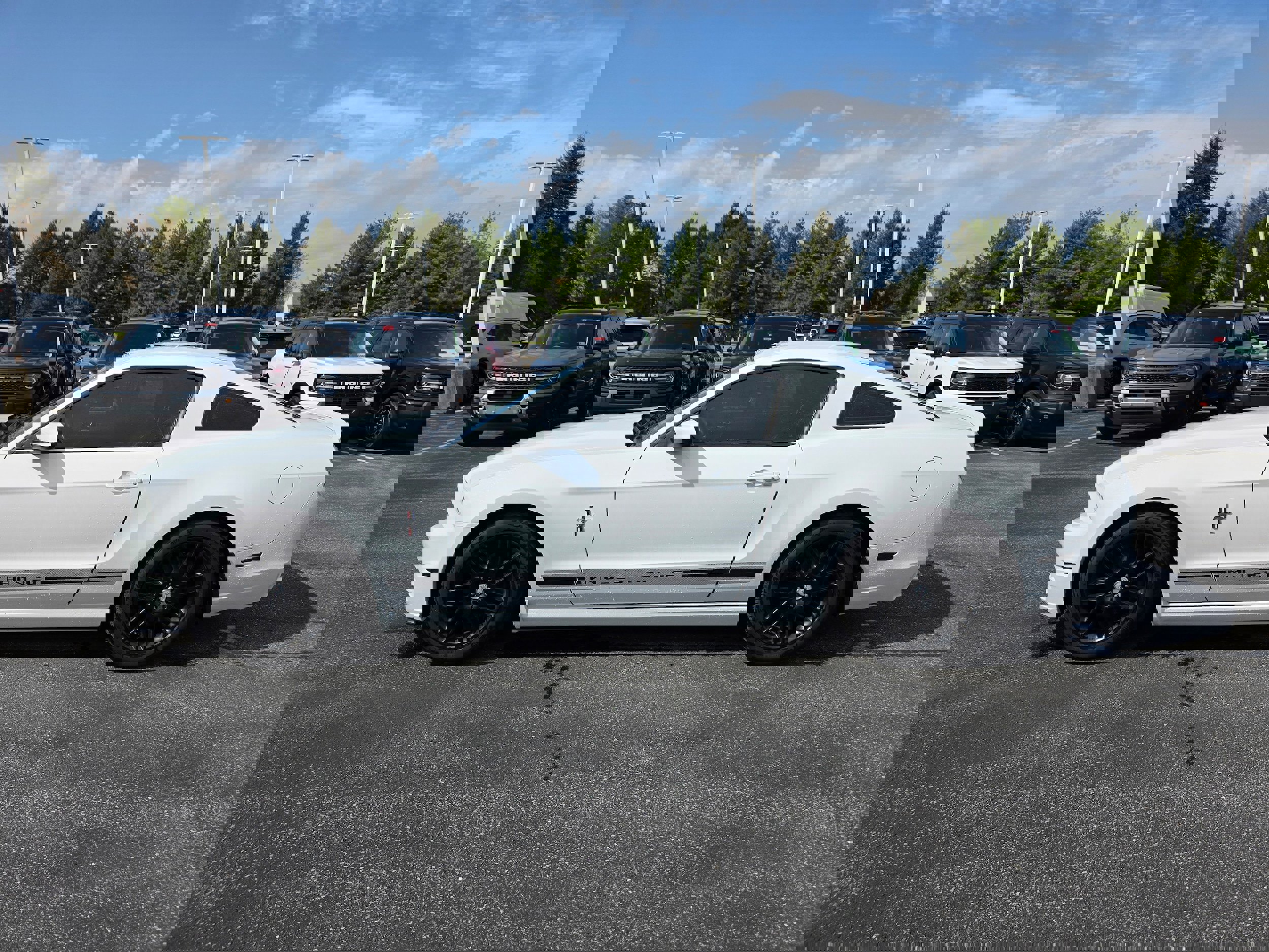 Used 2014 Ford Mustang Premium w/ Equipment Group 202A image 2