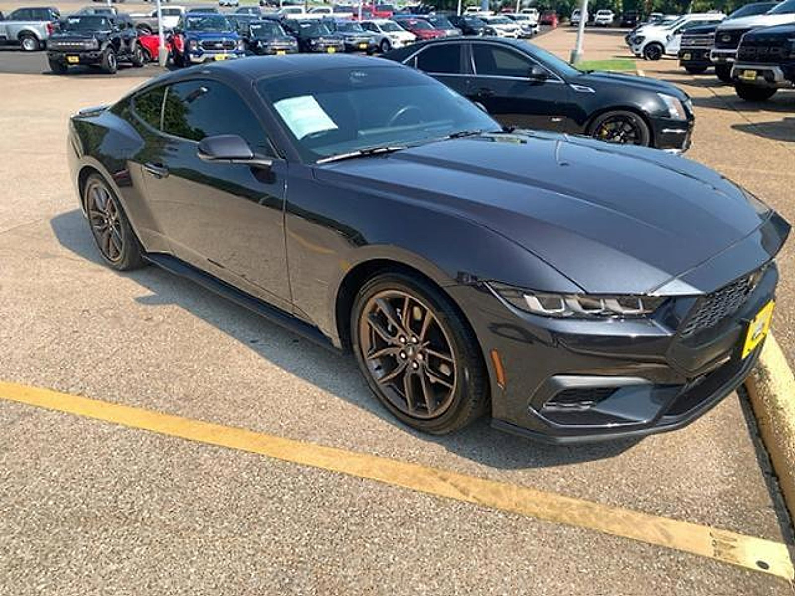 Used 2024 Ford Mustang Premium