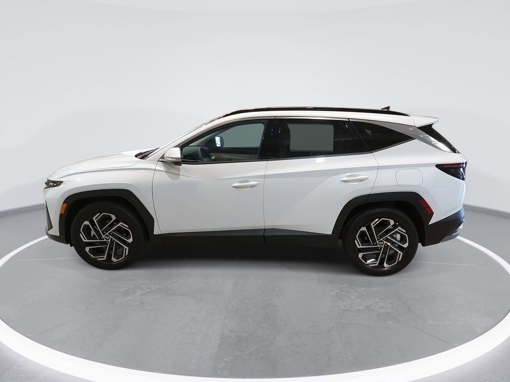 New 2026 Hyundai Tucson Limited FWD image 8