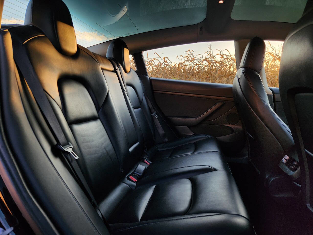 Used 2022 Tesla Model 3 image 10