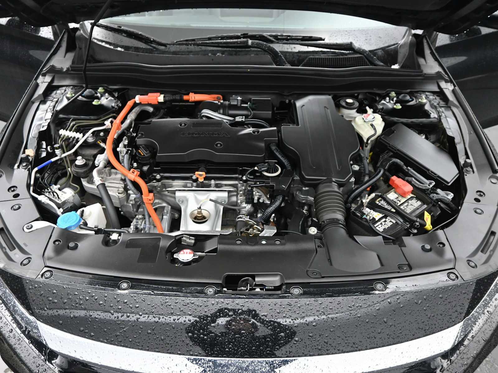 Used 2022 Honda Accord EX-L image 22