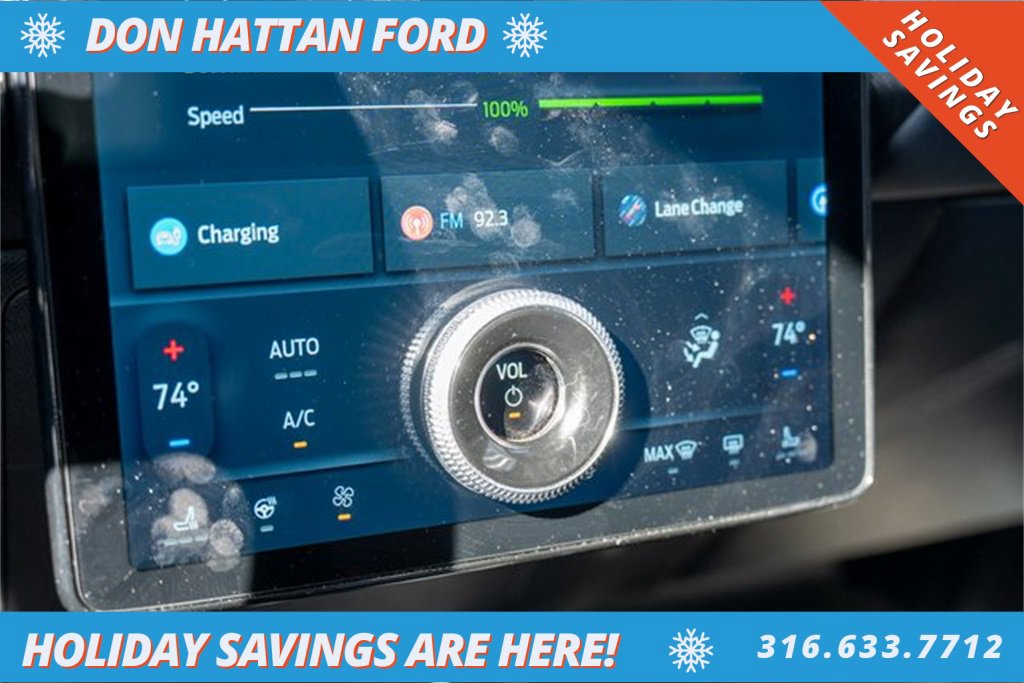 Used 2021 Ford Mustang Mach-E Premium image 11