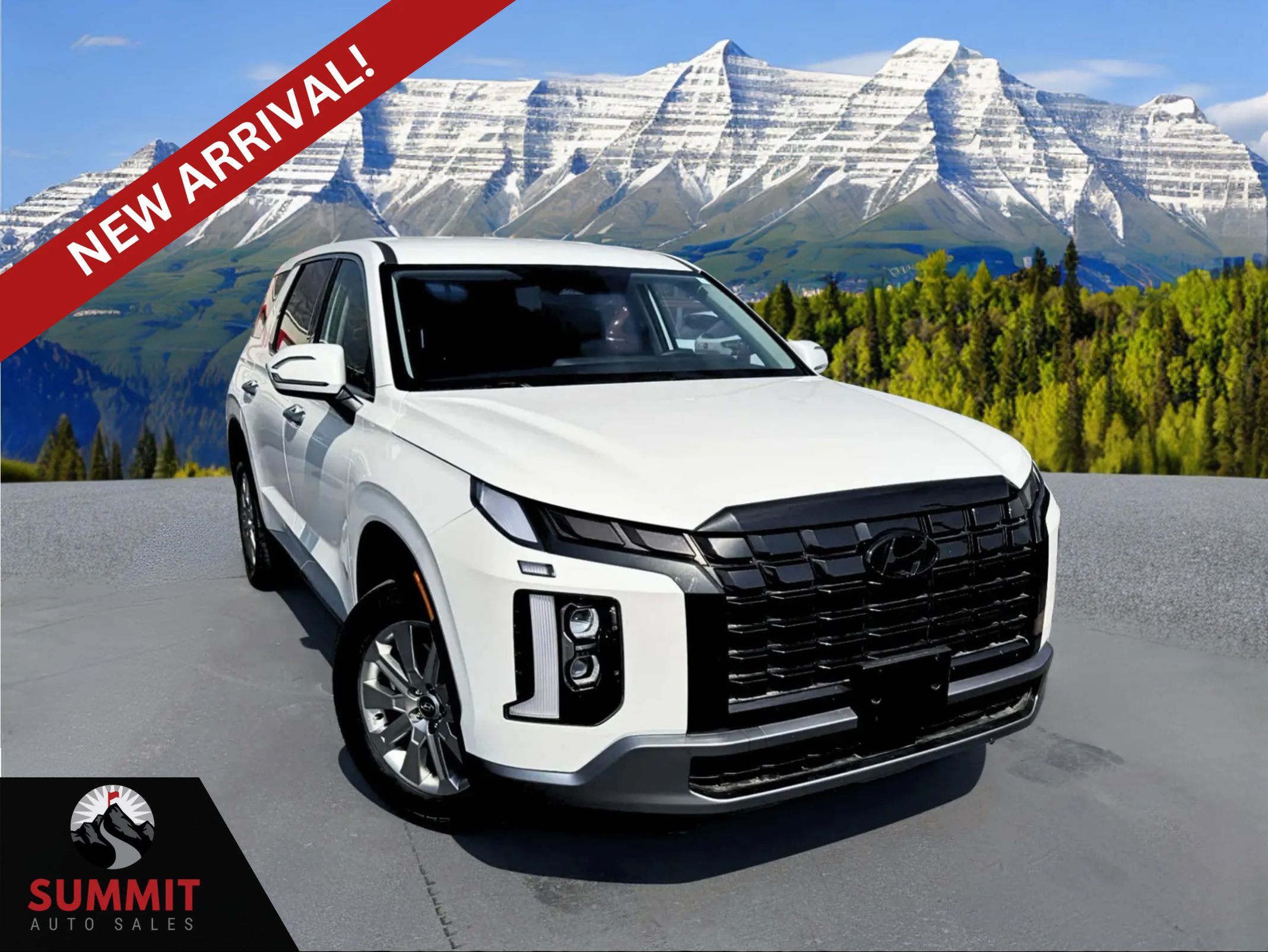 Used 2025 Hyundai Palisade SE AWD/4WD image 1