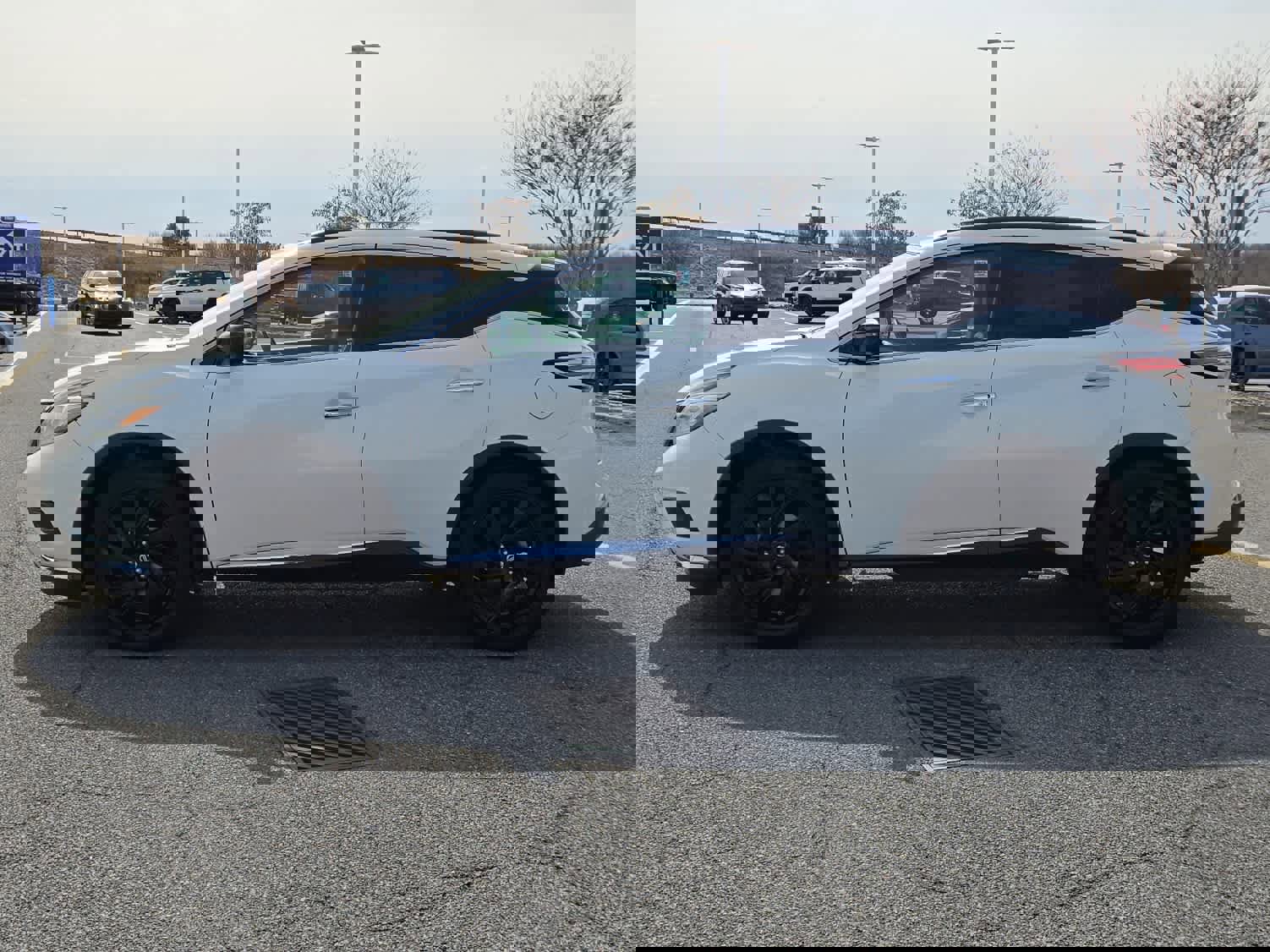 Used 2017 Nissan Murano Platinum w/ Platinum Technology Package image 6