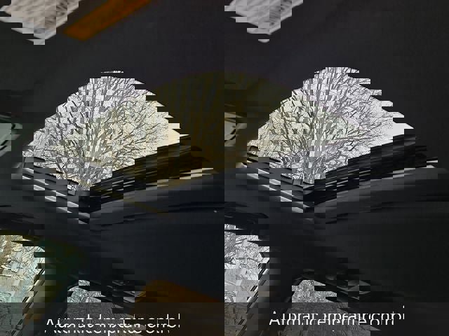 Certified 2026 Honda Odyssey Sport-L image 20