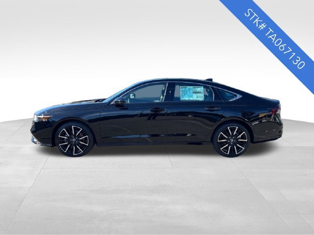 New 2026 Honda Accord Touring image 4