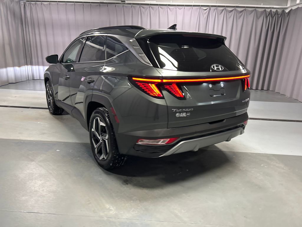 Used 2024 Hyundai Tucson Limited image 5