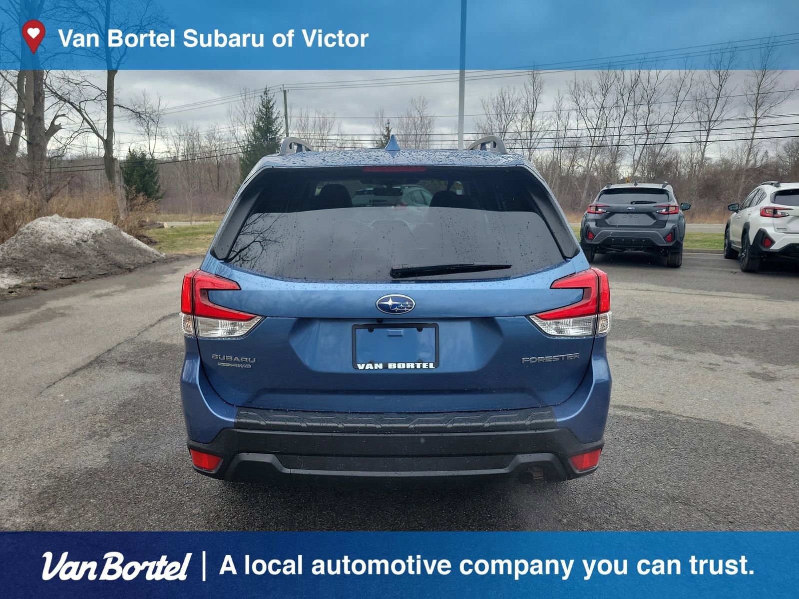 Certified 2023 Subaru Forester Premium image 4