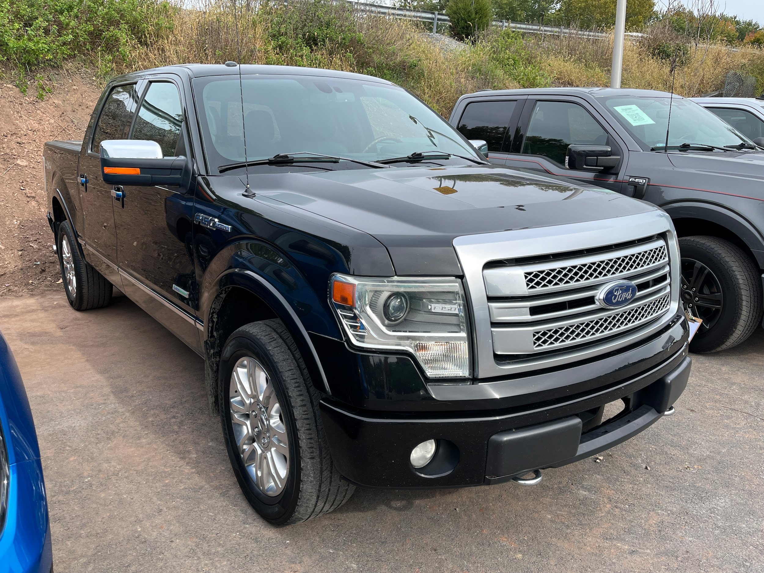 Used 2013 Ford F150 Platinum AWD/4WD image 4
