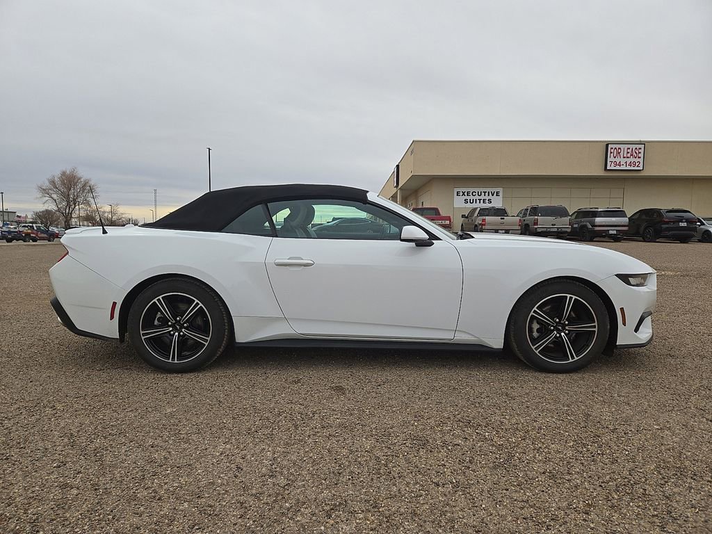 Used 2024 Ford Mustang Premium image 6