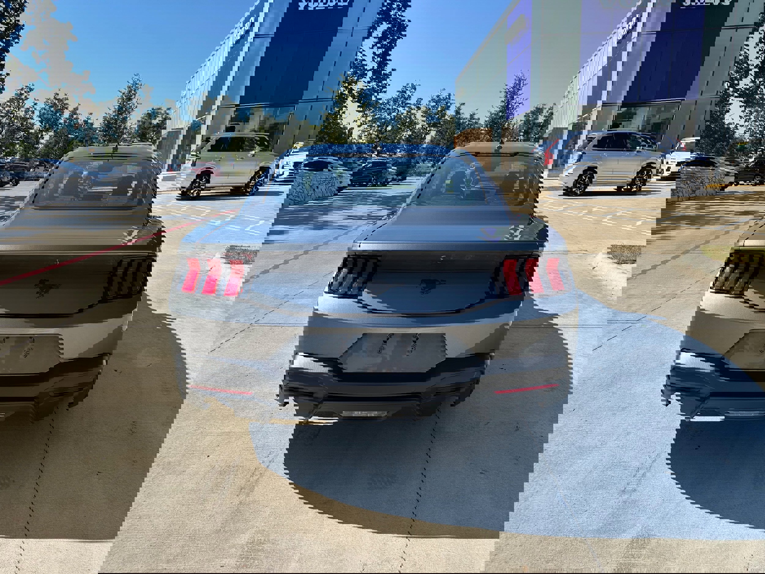 Used 2024 Ford Mustang EcoBoost image 5