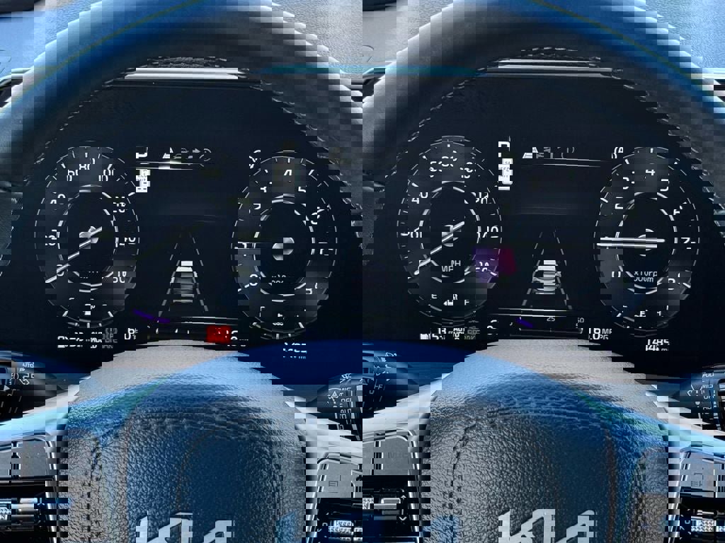 Used 2025 Kia Telluride SX Prestige X-Line image 22