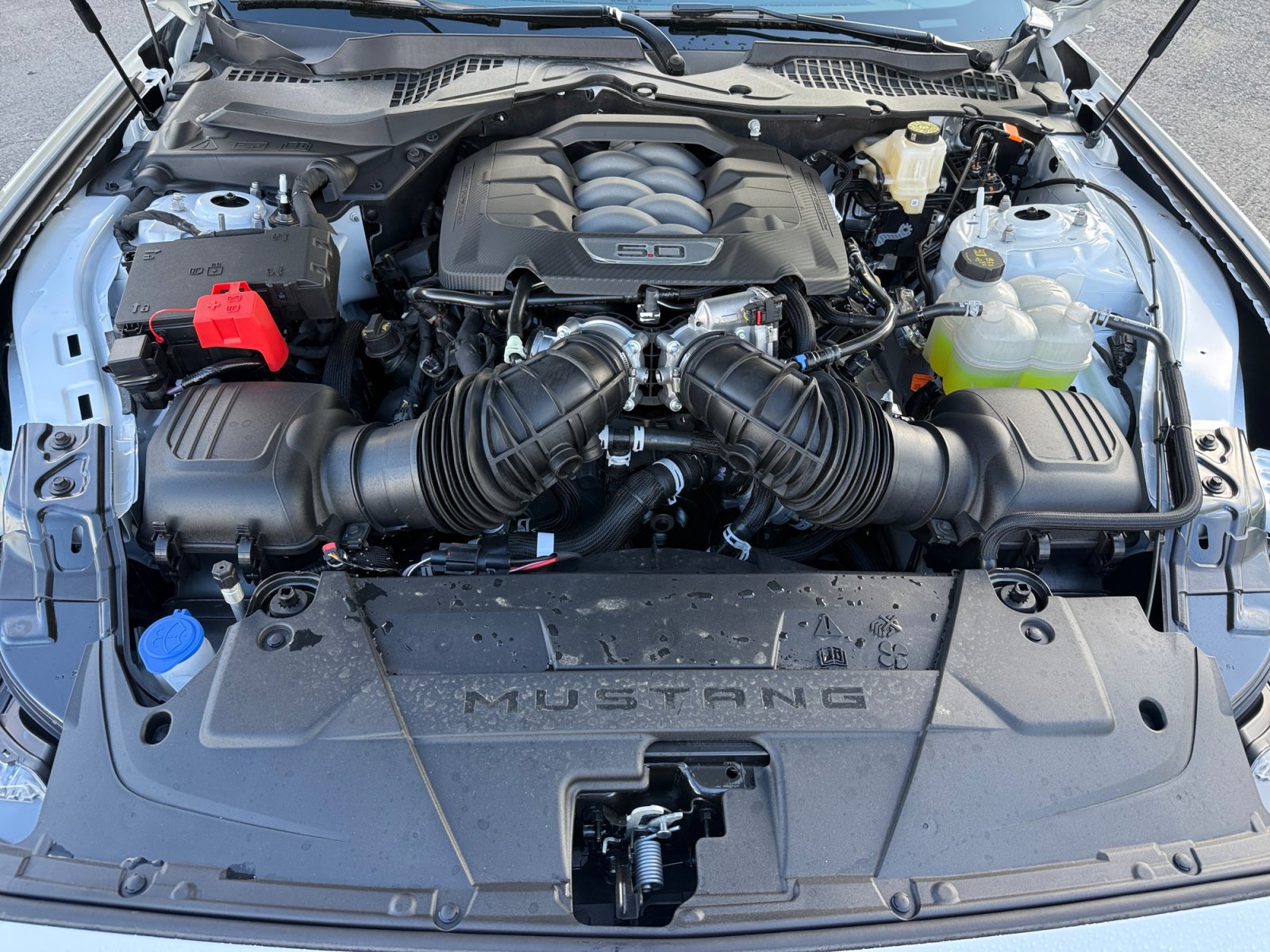 New 2026 Ford Mustang GT w/ Mustang Nite Pony Package RWD image 20