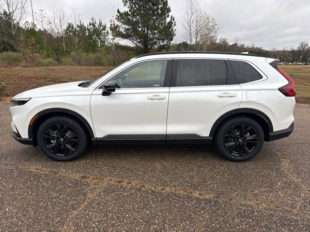 Used 2024 Honda CR-V Sport Touring image 5