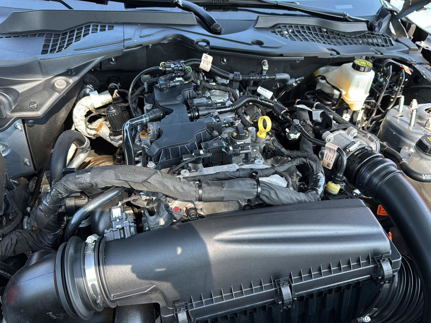 Used 2024 Ford Mustang Premium image 25