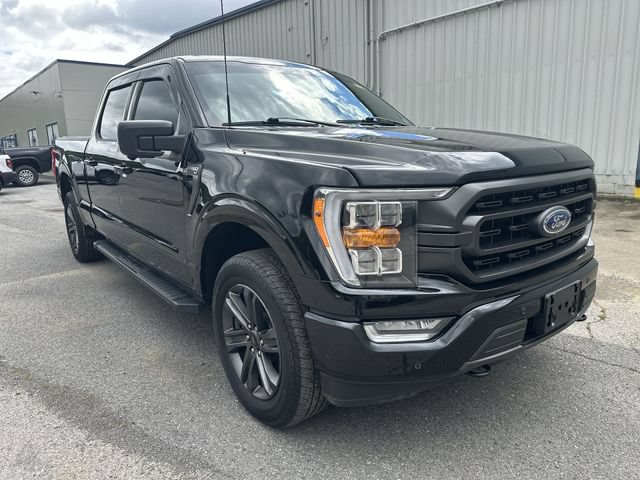 Used 2023 Ford F150 XLT w/ Equipment Group 302A High AWD/4WD image 11