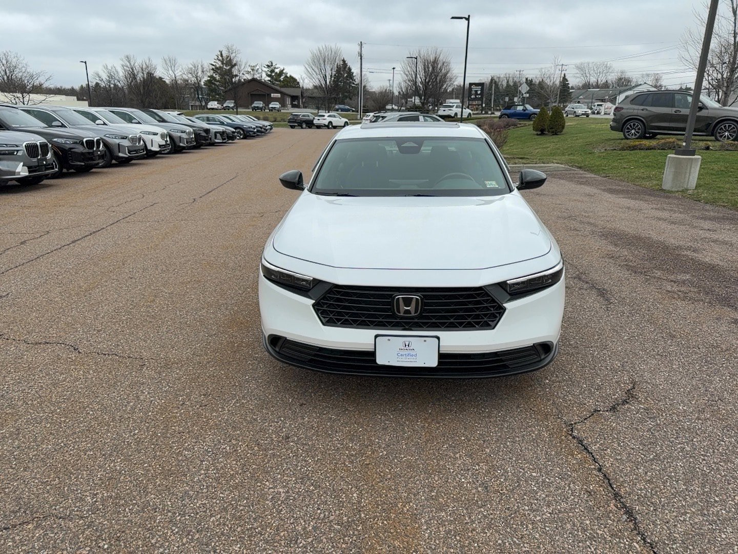 Certified 2024 Honda Accord Sport image 2