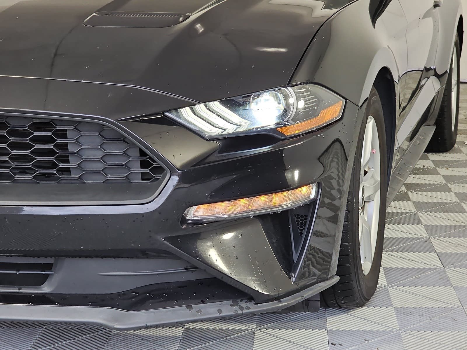 Used 2019 Ford Mustang Coupe RWD image 25