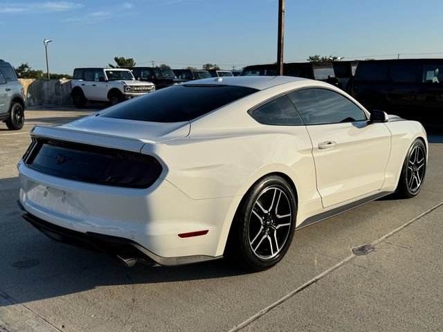 Used 2019 Ford Mustang Premium w/ Equipment Group 201A RWD image 5