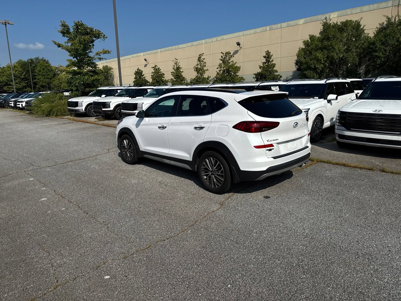 Used 2021 Hyundai Tucson Ultimate w/ Cargo Package AWD/4WD image 3