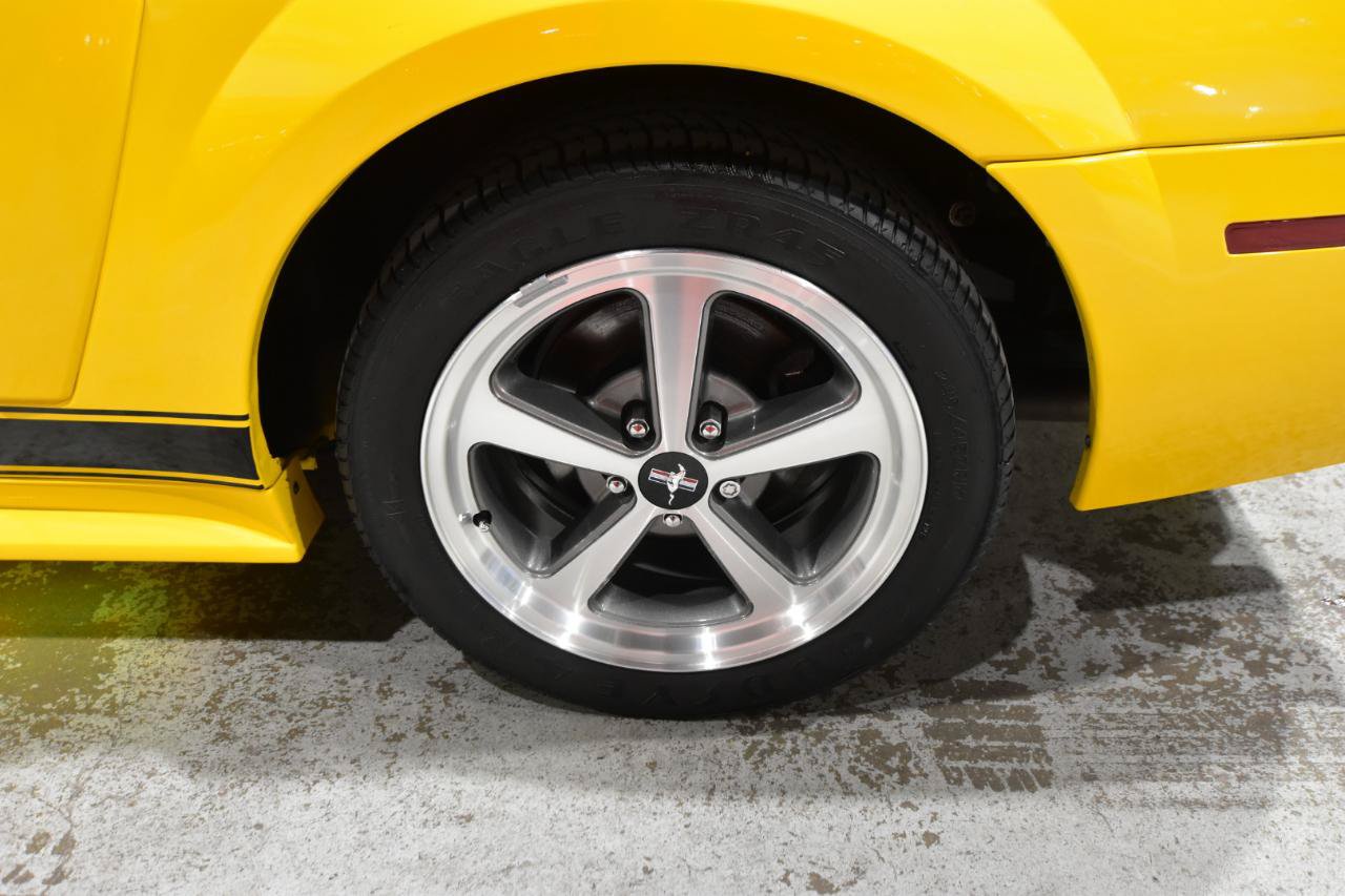 Used 2004 Ford Mustang Mach 1 RWD image 46