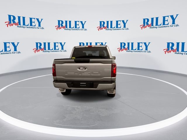New 2026 Ford F150 STX w/ Equipment Group 200A image 7