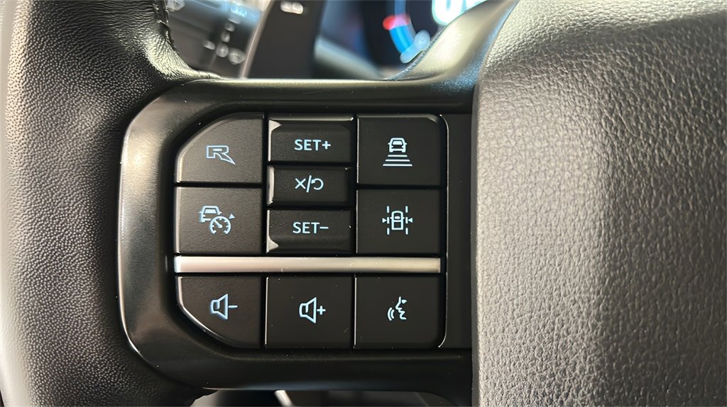 Used 2022 Ford F150 Raptor w/ Torsen Package image 20