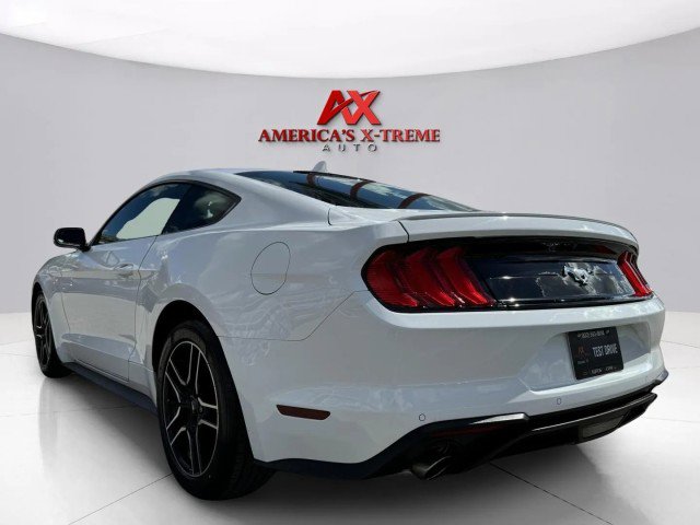 Used 2023 Ford Mustang Premium image 3