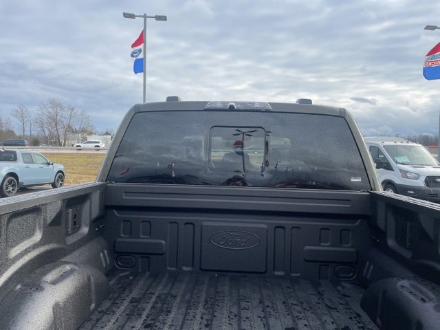 New 2025 Ford F150 Raptor image 87