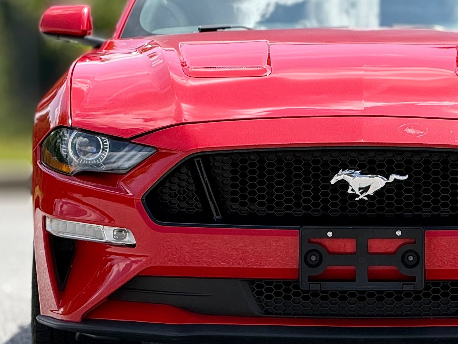 Used 2022 Ford Mustang GT Premium RWD image 14
