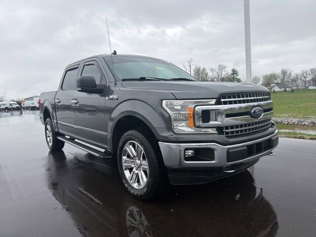 Used 2019 Ford F150 XLT w/ Equipment Group 302A Luxury image 1