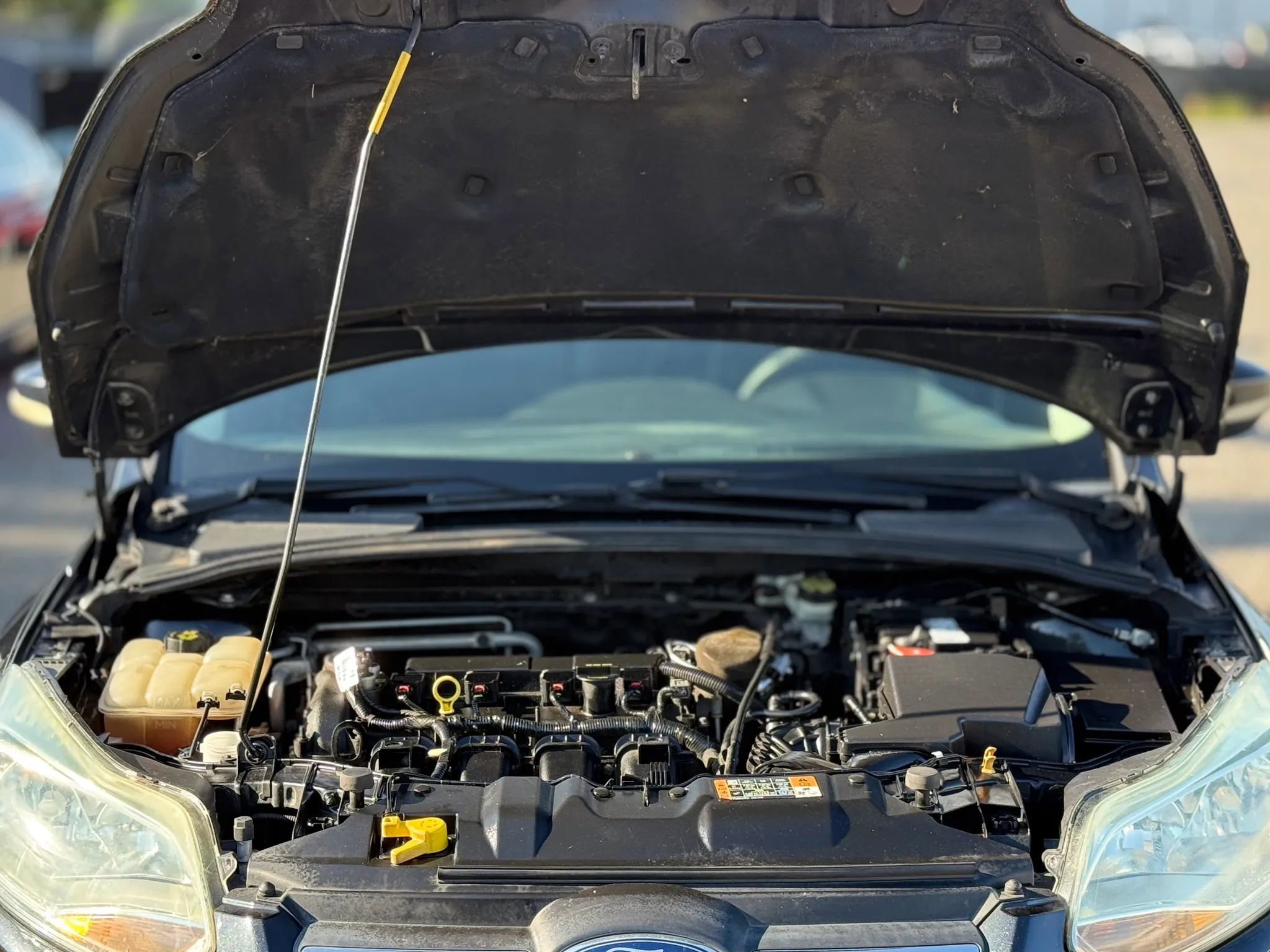 Used 2014 Ford Focus SE image 28