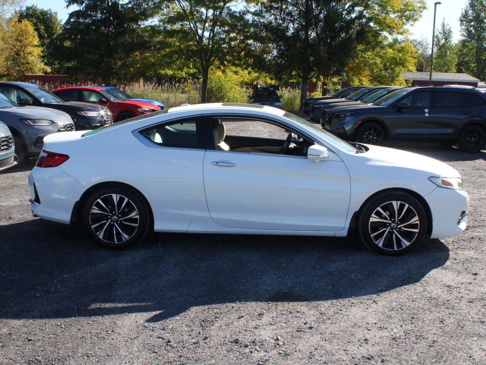 Used 2016 Honda Accord EX-L image 4