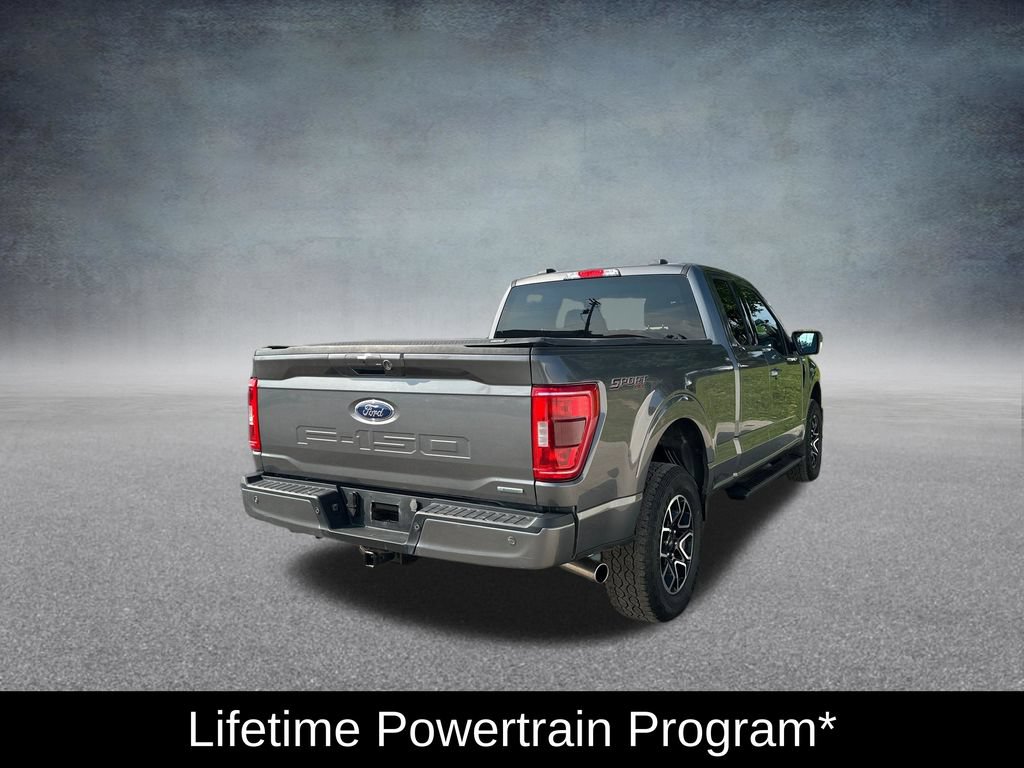 Used 2023 Ford F150 XLT w/ Equipment Group 302A High AWD/4WD image 5