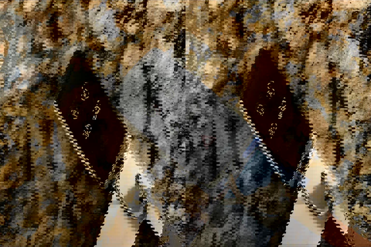 Used 2022 Land Rover Defender 110 X-Dynamic SE image 14