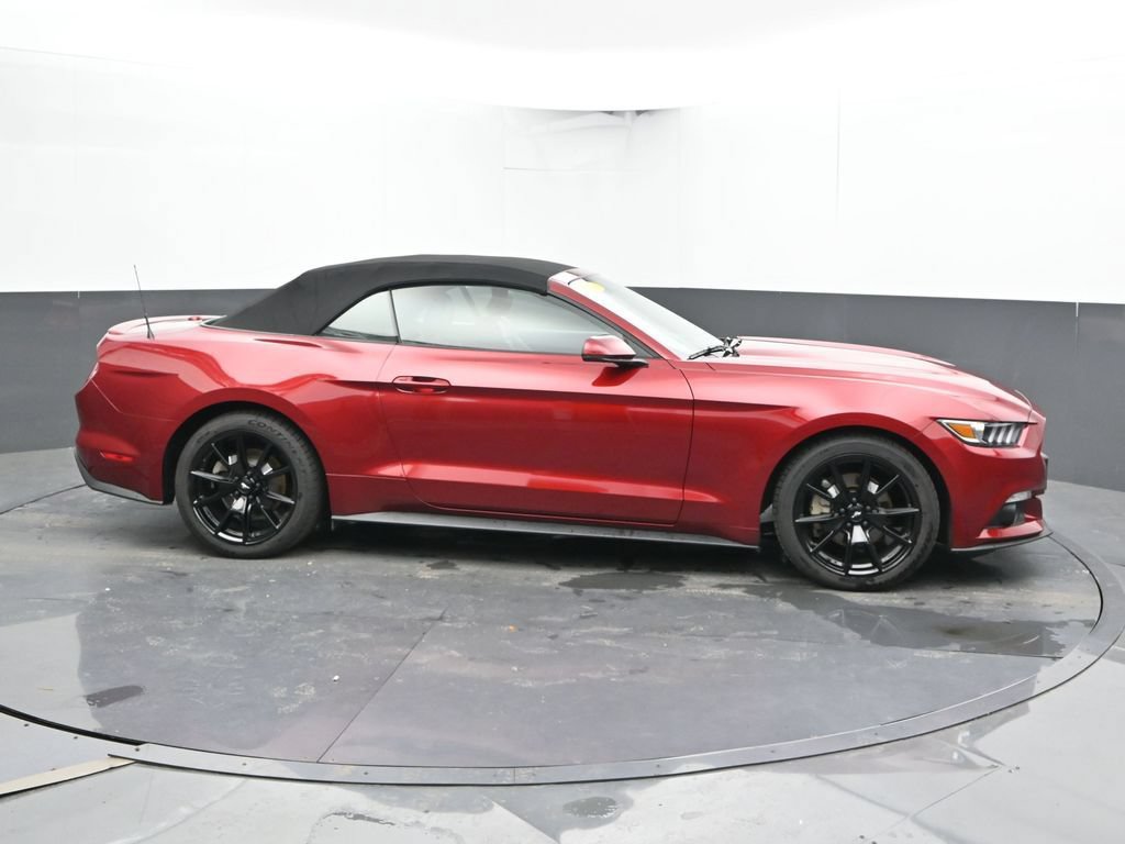 Used 2015 Ford Mustang Premium w/ Equipment Group 201A RWD image 3