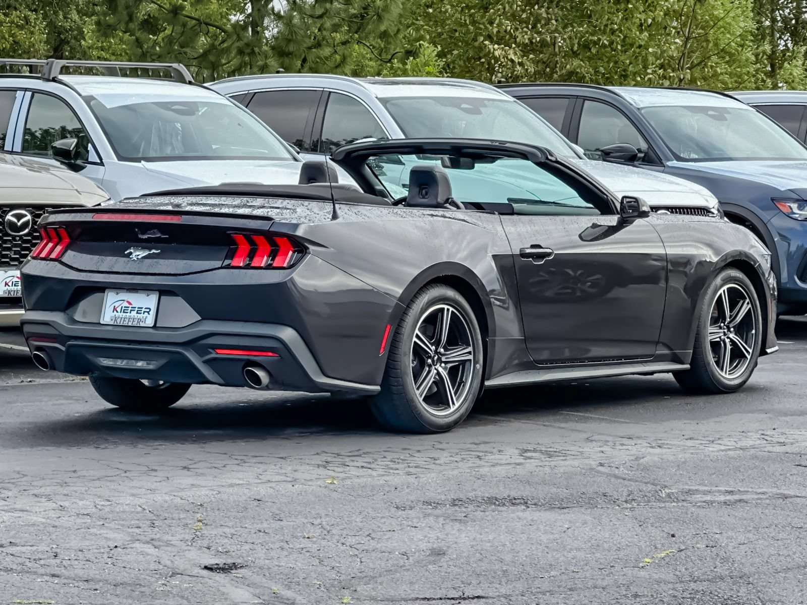 Used 2024 Ford Mustang Premium RWD image 3