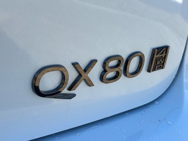 New 2026 INFINITI QX80 Autograph w/ Premium Cargo Package image 19