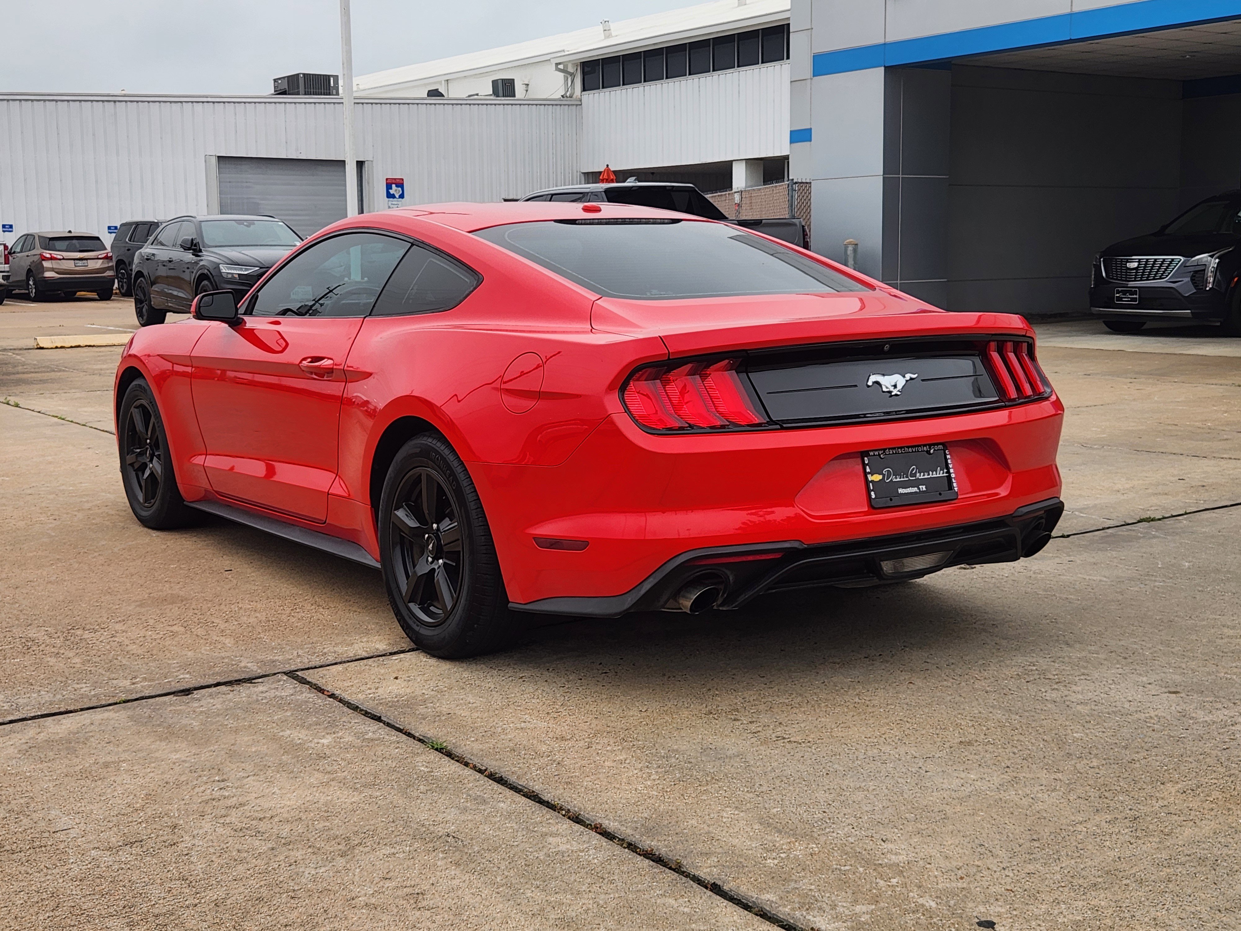 Used 2019 Ford Mustang Coupe RWD image 8