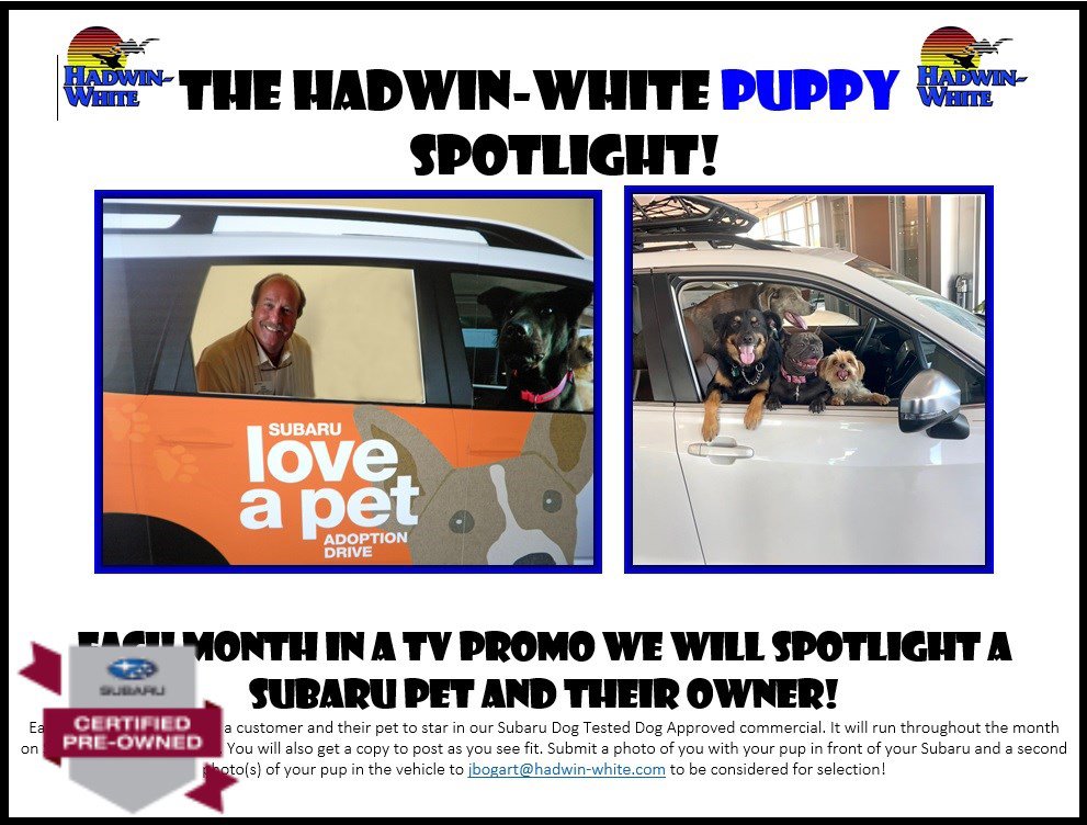 Used 2025 Subaru Forester Premium w/ Convenience Package #1 image 5