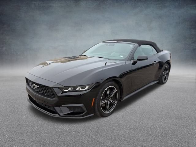 Used 2024 Ford Mustang Premium image 7