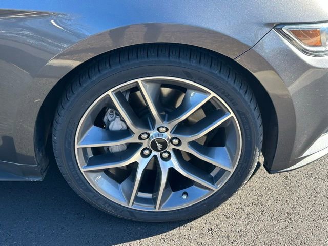 Used 2015 Ford Mustang GT Premium w/ Equipment Group 401A image 14