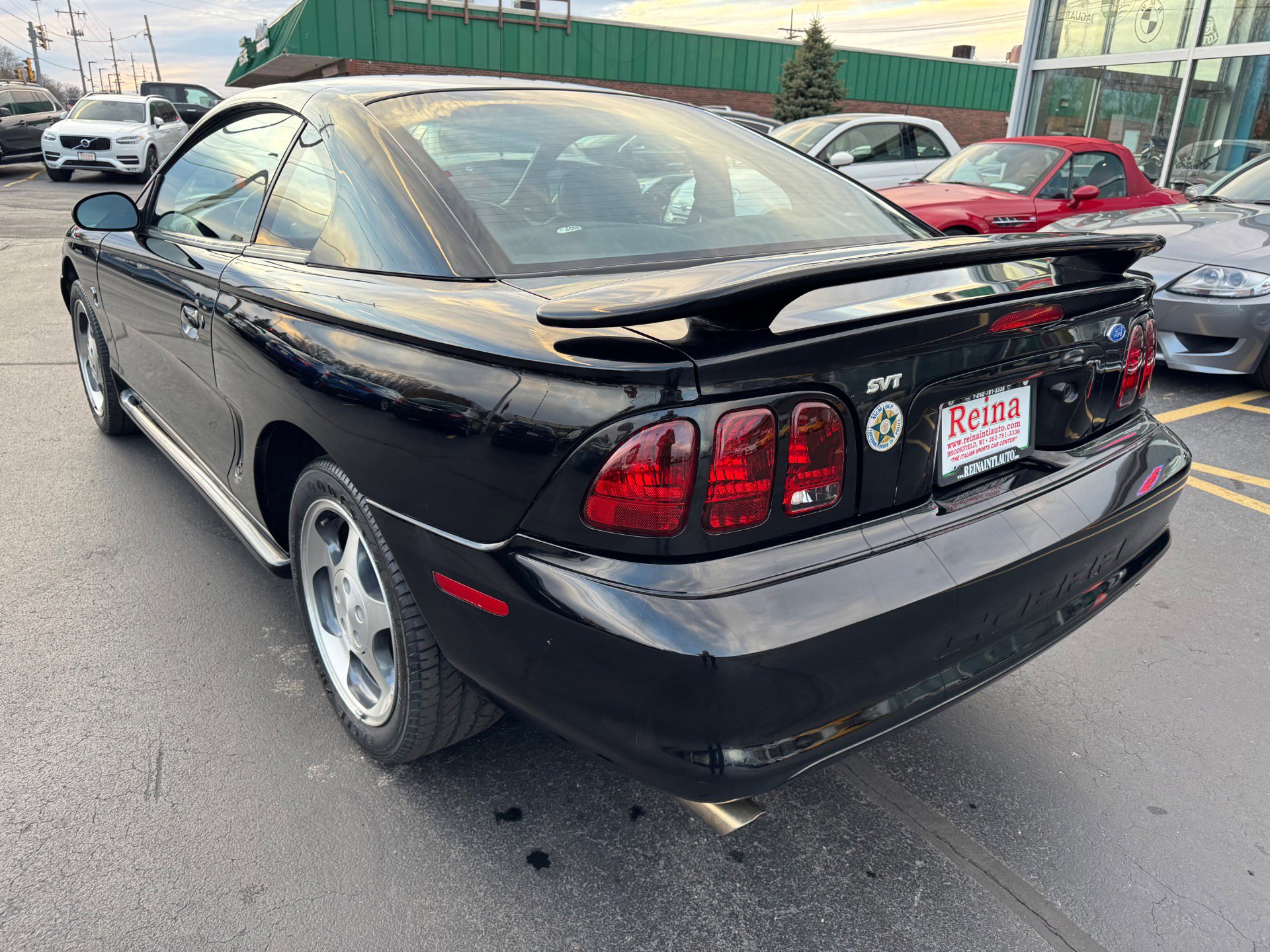 Used 1996 Ford Mustang Cobra RWD image 8