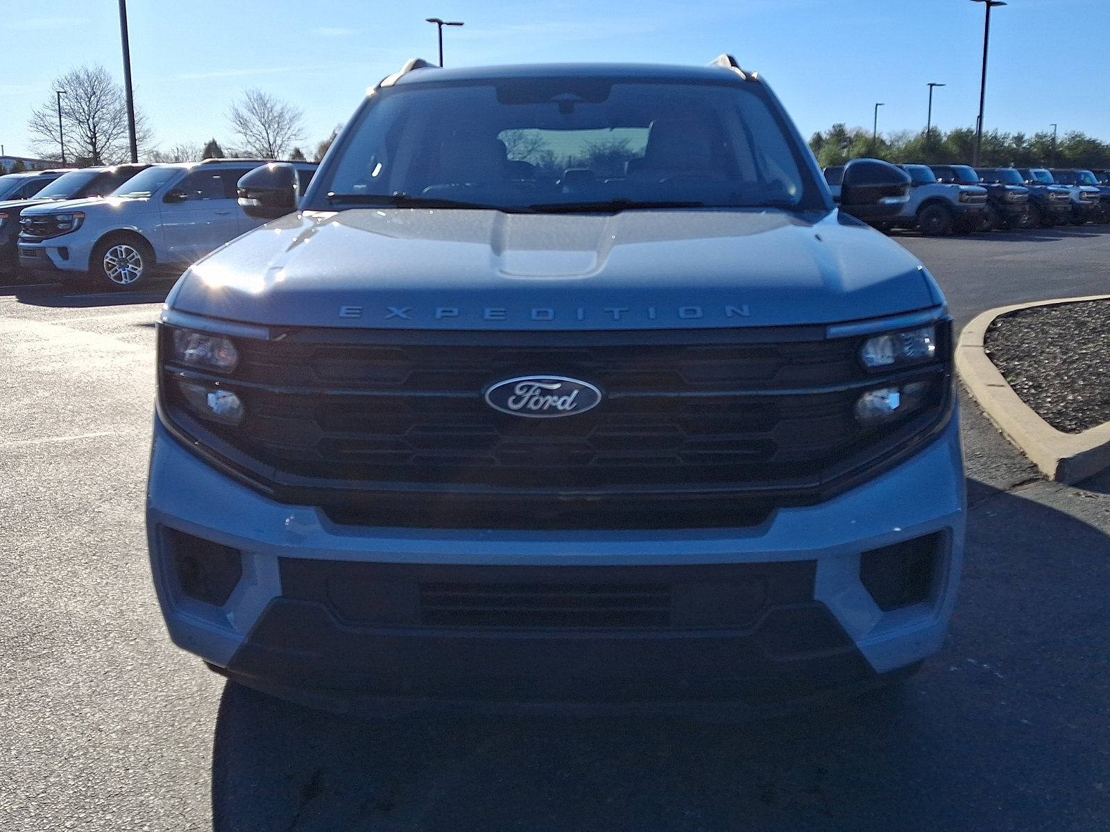 Used 2025 Ford Expedition Active image 2