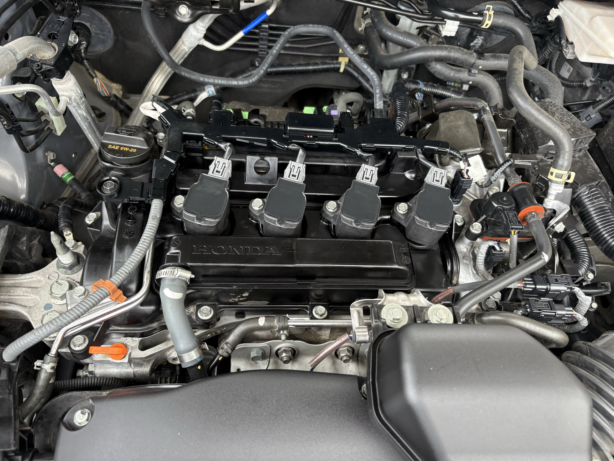 Certified 2024 Honda CR-V EX-L image 32