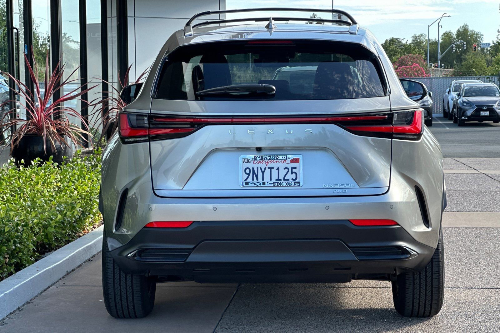 Used 2025 Lexus NX 350h AWD w/ Cold Area Package image 5